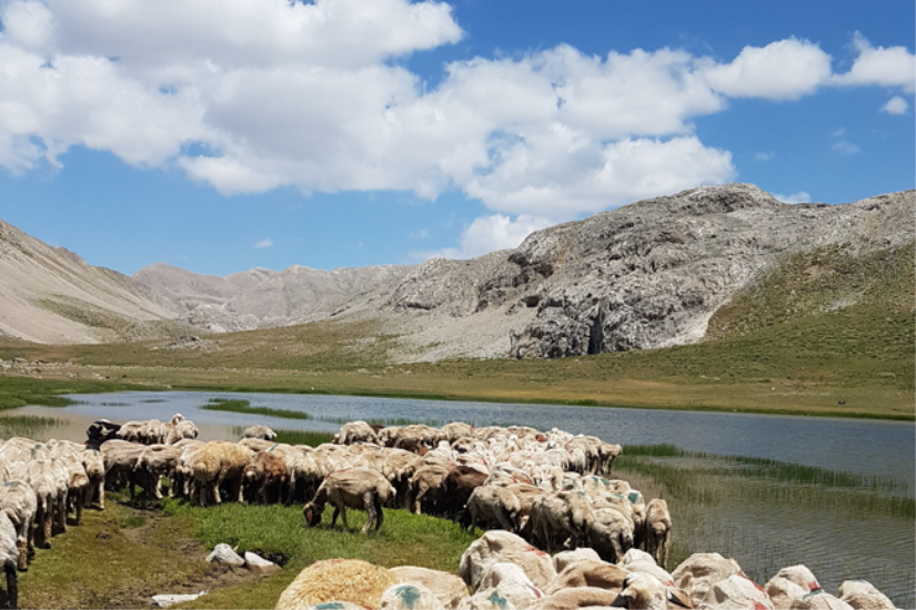 OVACIK KEPİR GÖLLERİ VE GANİHESEN YAYLA VE GÖLLERİ ROTASI